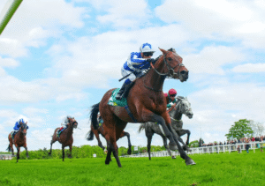 The Science of Horse Racing: How Horses Are Trained for Speed
