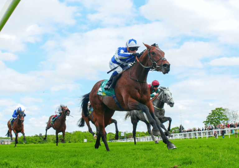 The Science of Horse Racing: How Horses Are Trained for Speed