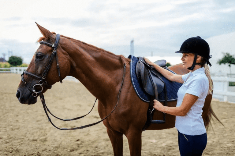 The Science of Training a Racehorse: Nutrition Exercise and Care