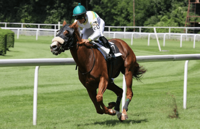 The Thrill of the Race: Understanding the Basics of Horse Racing