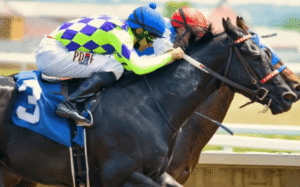 The Top Horse Racing Events Every Enthusiast Should Attend