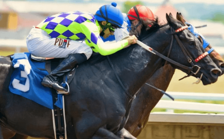 The Top Horse Racing Events Every Enthusiast Should Attend